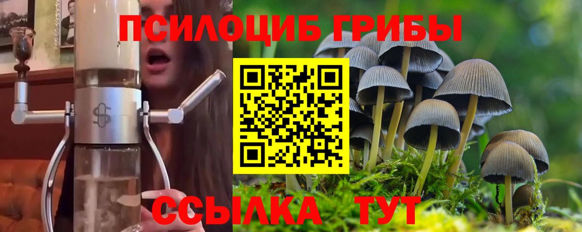 Галлюциногенные грибы Cubensis Котлас
