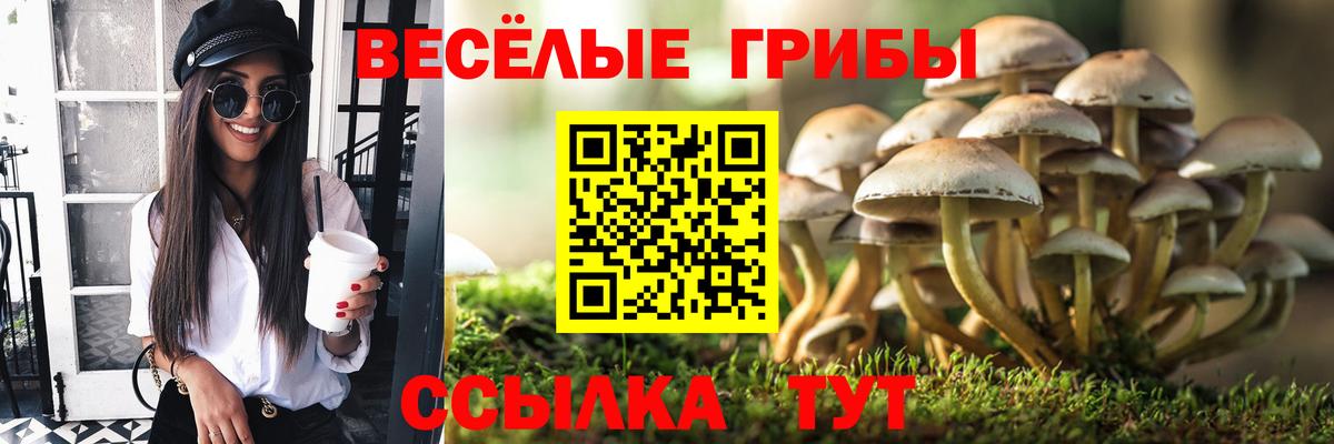 Галлюциногенные грибы Psilocybe  Вход с VPN  купить закладку  Котлас  Псилоцибиновые грибы Magic Shrooms 